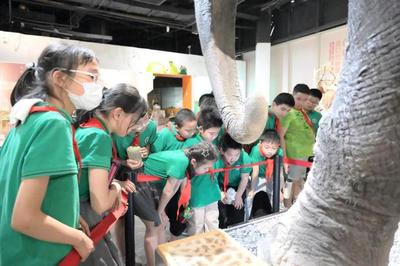 揭秘自然來信，共建綠色家園 | 青少年科學講壇引領自然探索新風尚